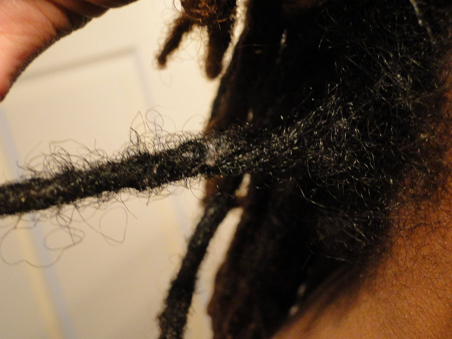 Loc Rocker Loc Challenge Trapped buildup and lint